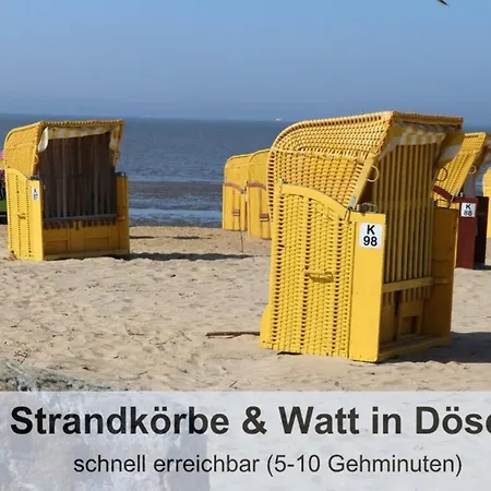 Deichauszeit 5